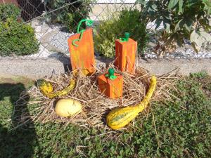 Najlepše urejena domačija na temo jesen in buče 9